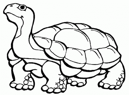 Download Turtle Being Hungry Coloring Page Or Print Turtle Being 