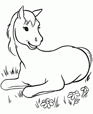 Horse Coloring Pages | Printable horse colt Coloring Page 