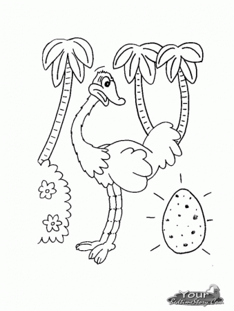 Best Ostrich Coloring Pages 2014 282796 Ostrich Coloring Page