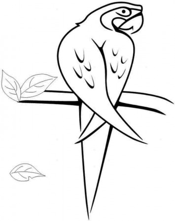 jamaica bird Colouring Pages (page 3)