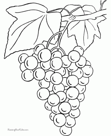 Grapes coloring pages 005