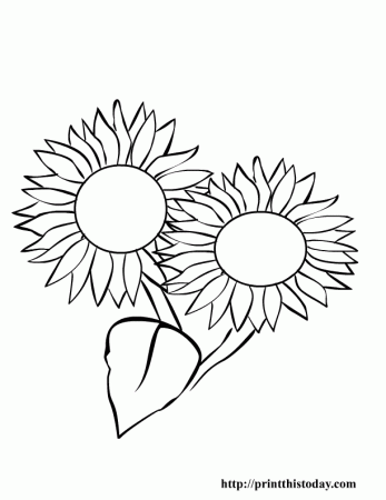 Free printable Summer coloring Pages | Print This Today