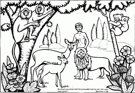 Search Results » Adam And Eve Colouring Sheet