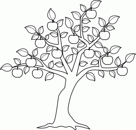 apple tree leaf Colouring Pages