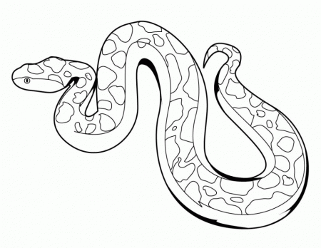 Texas Rat Snake Animal Coloring Pages Dot Peeps Snake Coloring 