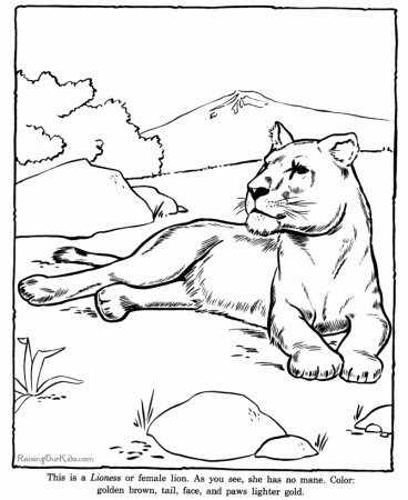 Lioness coloring pictures to print - Zoo animals