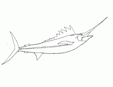 Spearfish Coloring Page | A Realistic Drawing of a Spearfish