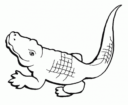 crocodile animals coloring pages : Printable Coloring Sheet ~ Anbu 
