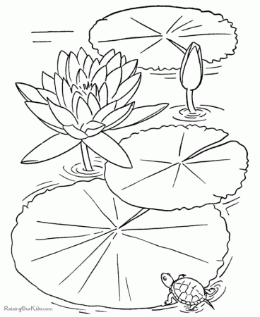 Free Printable Flower Coloring Pages | Uncategorized | Printable 