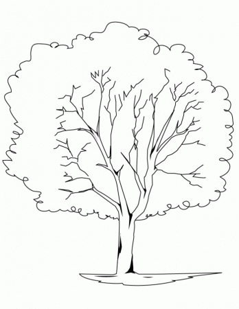 Oak Tree Coloring Page Educations | 99coloring.com