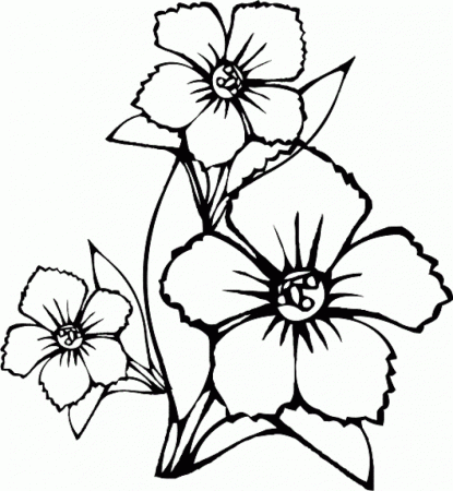 For Print Flower Coloring Pages . Kids Coloring Book