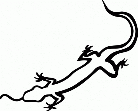 Gecko Coloring Pages Free Coloring Pages For Kids 20pages 254517 