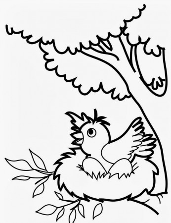 Bird Coloring Pages For Preschoolers :Kids Coloring Pages 