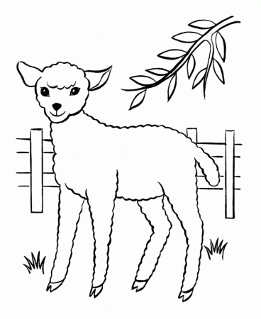 Print And Coloring Pages Sheep For Kids | Coloring Pages