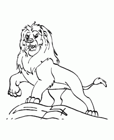 Dominate male lion roaring Coloring Pages Lion Coloring Pages For 