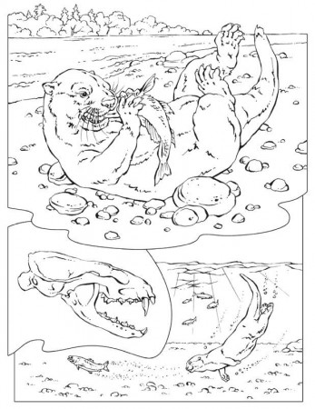 Clear Sea Coloring Pages