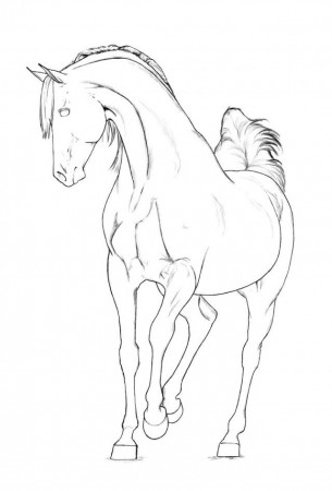 Arabian Horse Coloring Pages Download Free Printable Coloring 