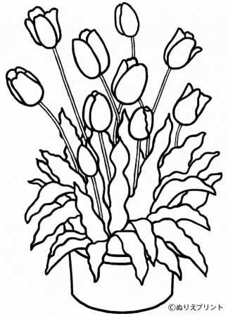 Colouring Pages Of Tulips Coloringfokids 171320 Tulip Coloring Page