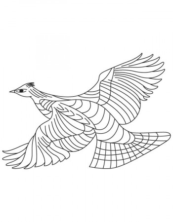 Forest living grouse coloring page | Download Free Forest living 