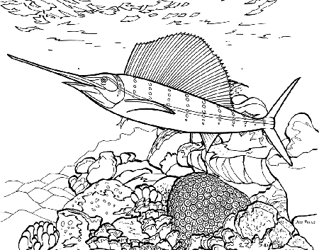 sail fish Colouring Pages