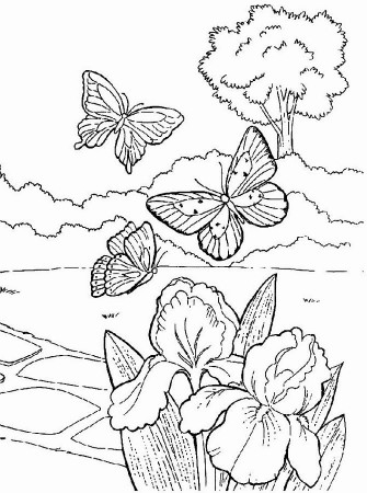 Printable Spring Coloring Pages | Free coloring pages