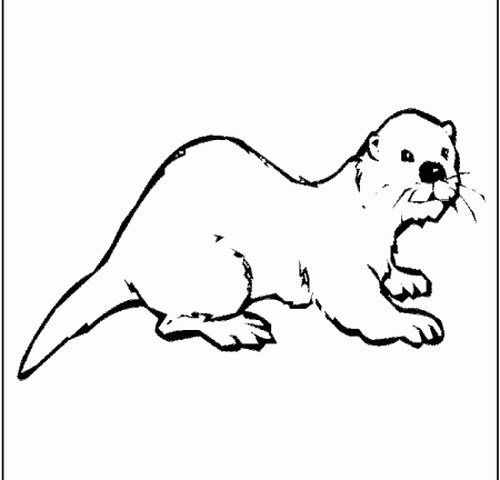 Otter Coloring Pages - Kids Colouring Pages