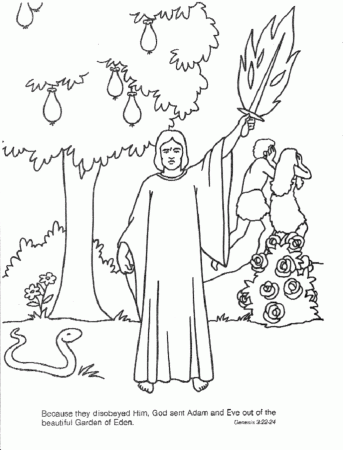 Adam And Eve Coloring Pages 695 | Free Printable Coloring Pages