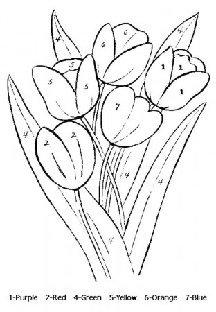 Coloring Pages Of Tulips 11 | Free Printable Coloring Pages