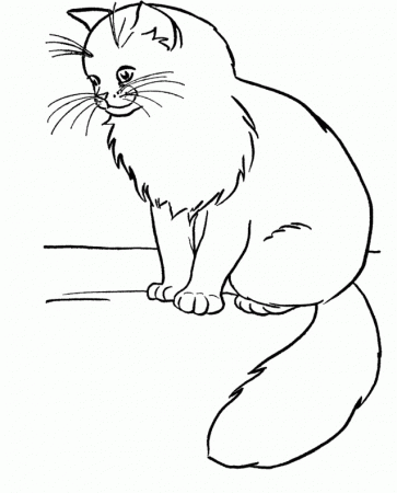 Cat Coloring Book - Cat Coloring Pages : Girls Coloring Pages