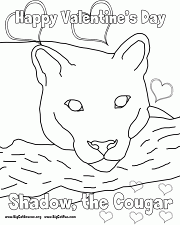anime cougars Colouring Pages