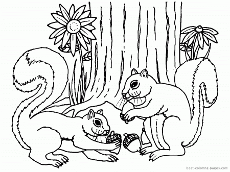 Animals Coloring Pages | Best Coloring Pages - Free coloring pages 