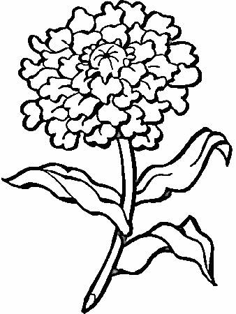 Flower6 Flowers Coloring Pages & Coloring Book
