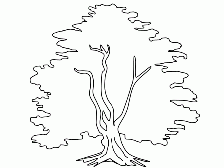 Trees # Yew Coloring Pages & Coloring Book