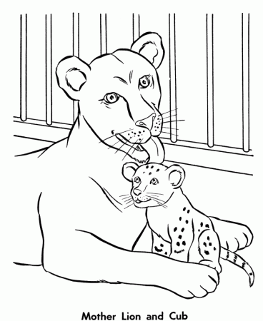 Zoo animal coloring page | Female Lion and her Cub | Free coloring 