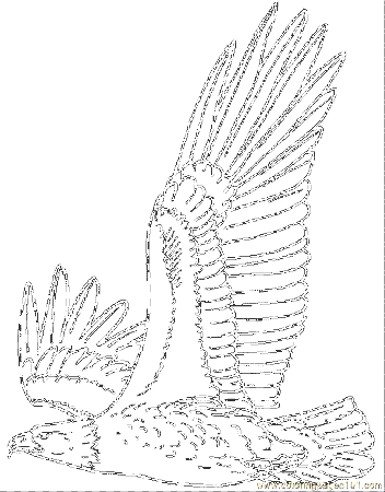 Coloring Pages Eaglcol (Birds > Eagle) - free printable coloring 
