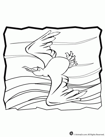 seagull finding nemo Colouring Pages (page 2)