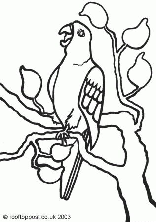 Parrot in Tree - Rooftop Post Printables