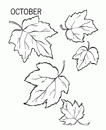 Four-Leaf-Clover-Coloring-Page | COLORING WS