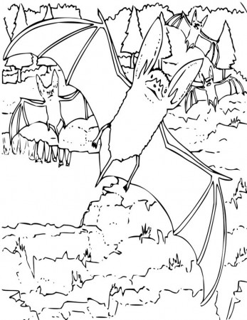 Big Eared Bat Coloring Page for Kids - Free Printable Picture