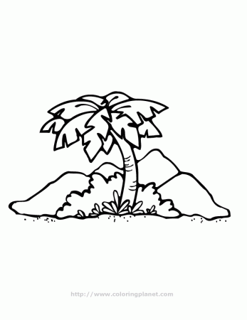 Palm Trees Coloring Pages 87 | Free Printable Coloring Pages