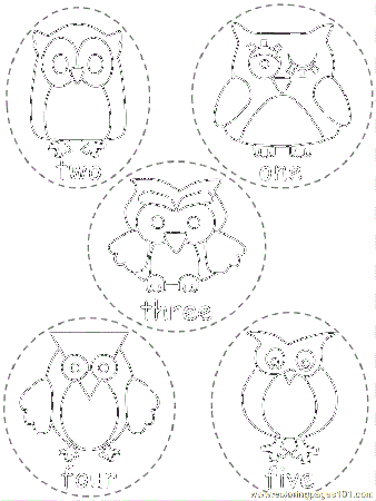Colorful owl theme classroom | 379 Pins