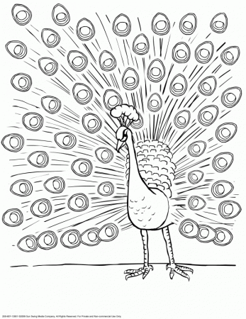 Printable Peacock Coloring Pages For Kids | Coloring Pages