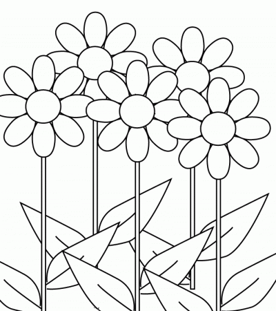 Flower : Tropical Flower Coloring Pages, Sunflowers In A Vase 