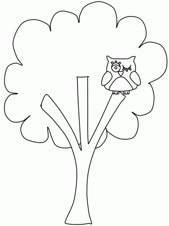 Tree17 Trees Coloring Pages & Coloring Book