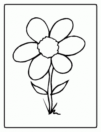 stages of flower Colouring Pages