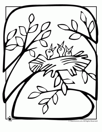 Spring Birds Nest Coloring Page | Classroom Jr.