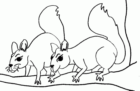Kids Coloring Print Squirrel Coloring Pages Print Squirrel 