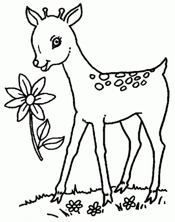 Animals Deer coloring pages. List