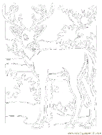 big buck Colouring Pages (page 3)