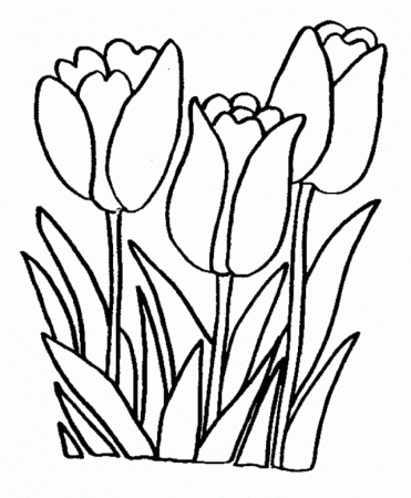 Flowers Coloring Pages Hd Background Wallpaper 26 High Definition 